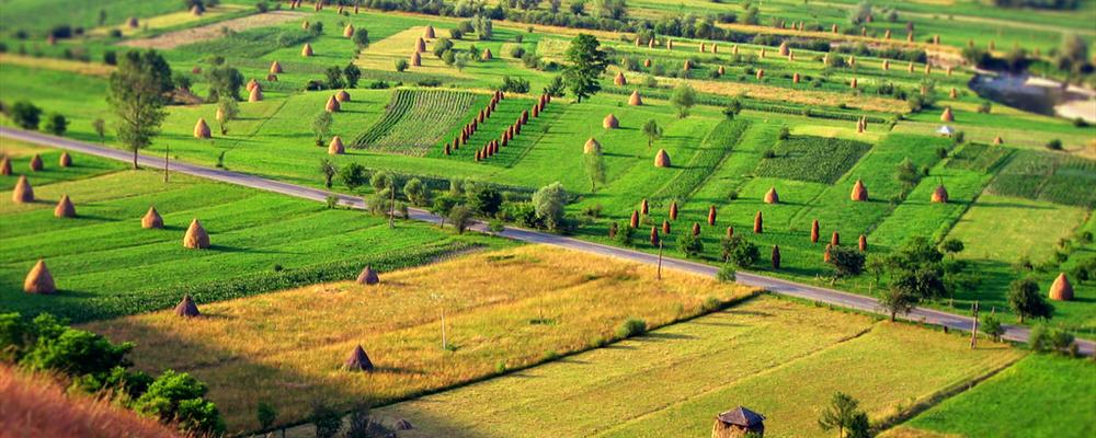 Romania Countryside